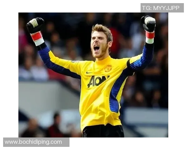 2018年英国足球明星的辉煌成就与未来展望分析